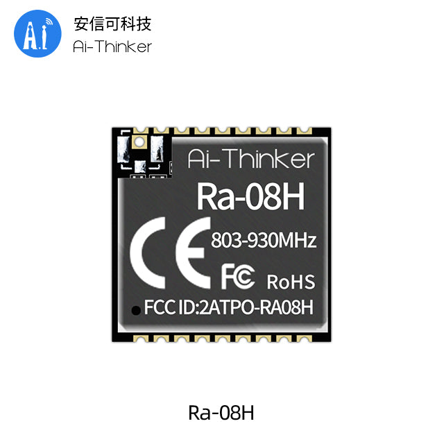 Ra-08H(???)2??.jpg