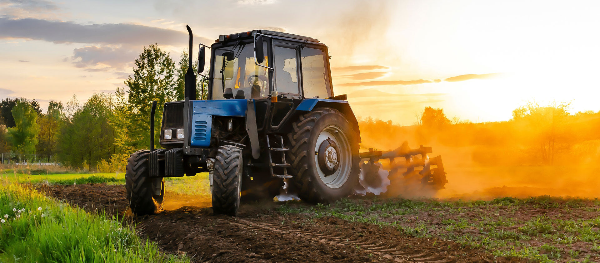 Ein Traktor pflügt ein Feld