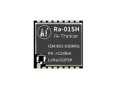 Ra-01SH_1.jpg